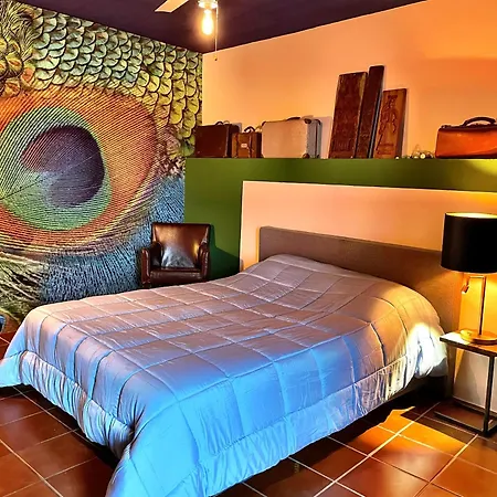 Casa Olanda *